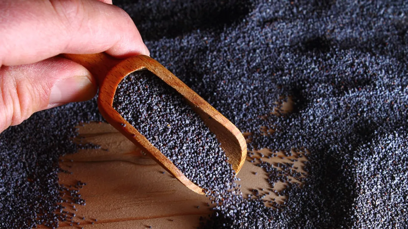 Tényleg bódultságot okoz a mákos bejgli?