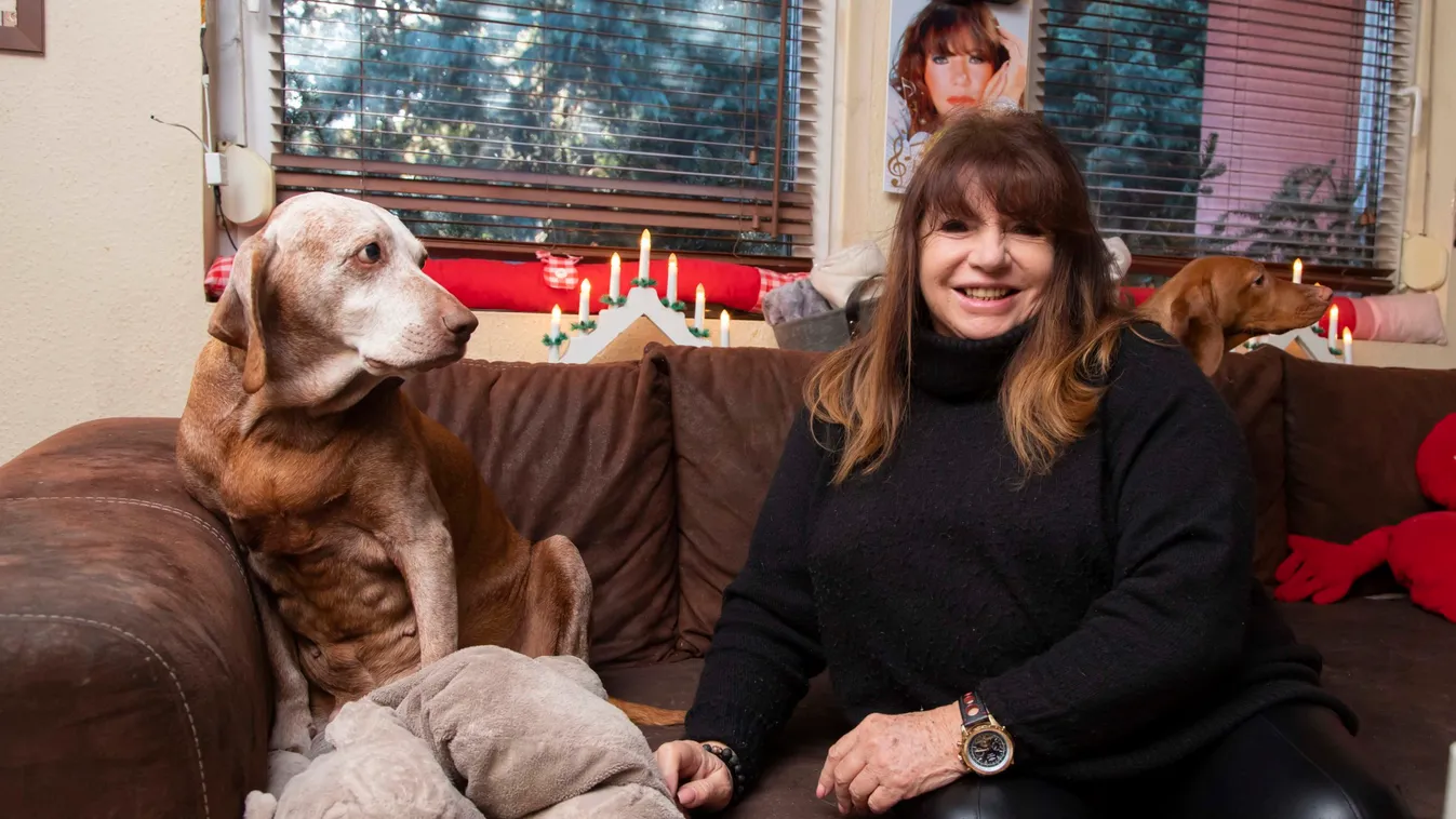 Zalatnay Cininél egész évben ünnep van