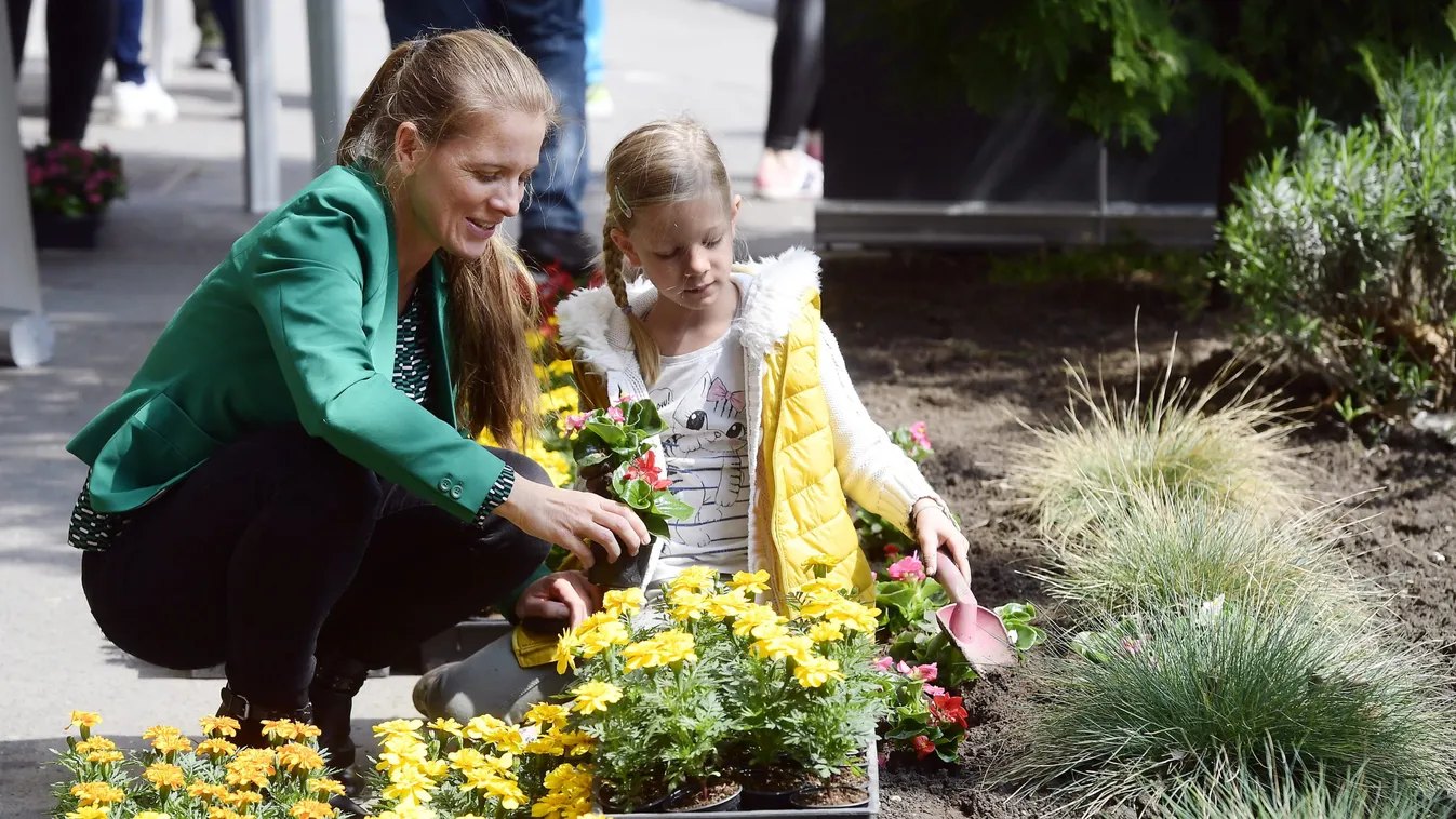 Újabb zöld programok a hétvégére! - ide várják a segítőket