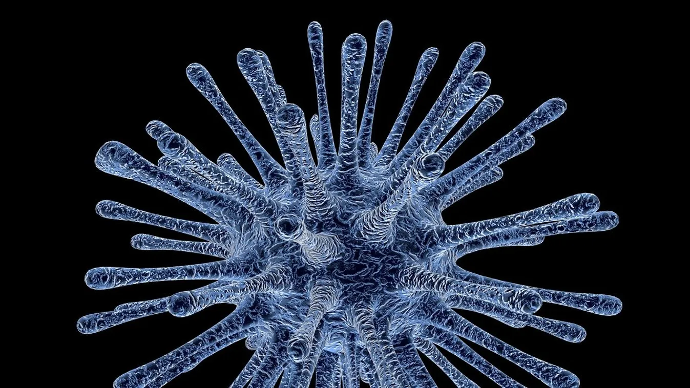 Egyre többen halnak meg a gyógyszerek miatt