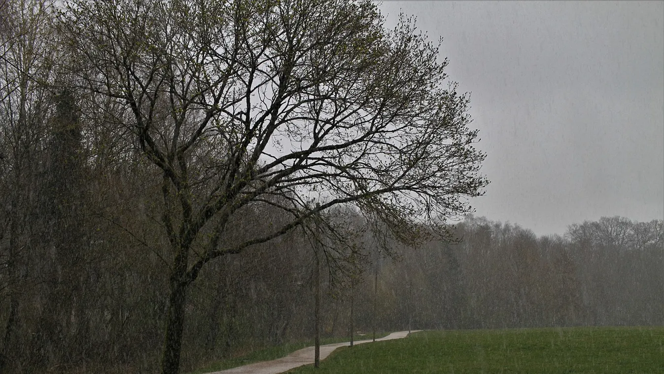 Kiadták a riasztást: sűrű köddel és havas esővel érkezik a hidegfront