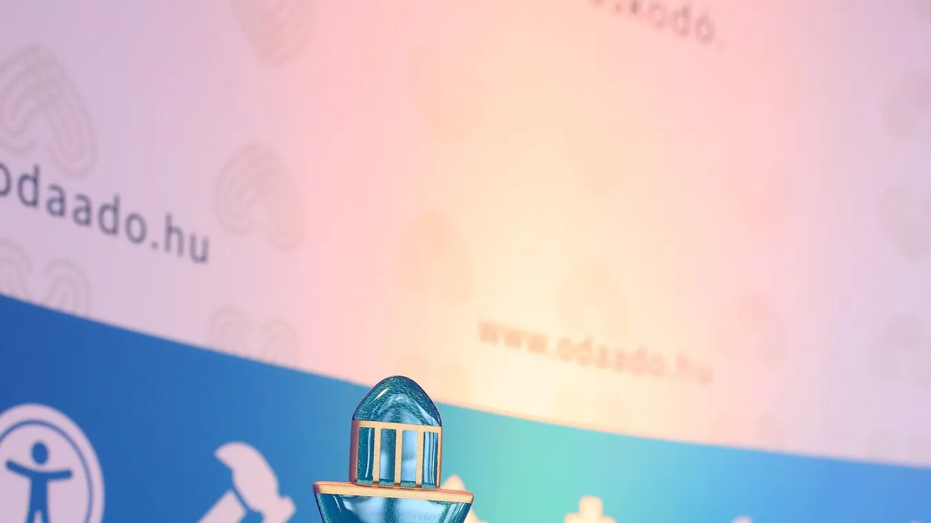 Hoppá, elnökökkel együtt kapott életműdíjat a magyar önkéntes