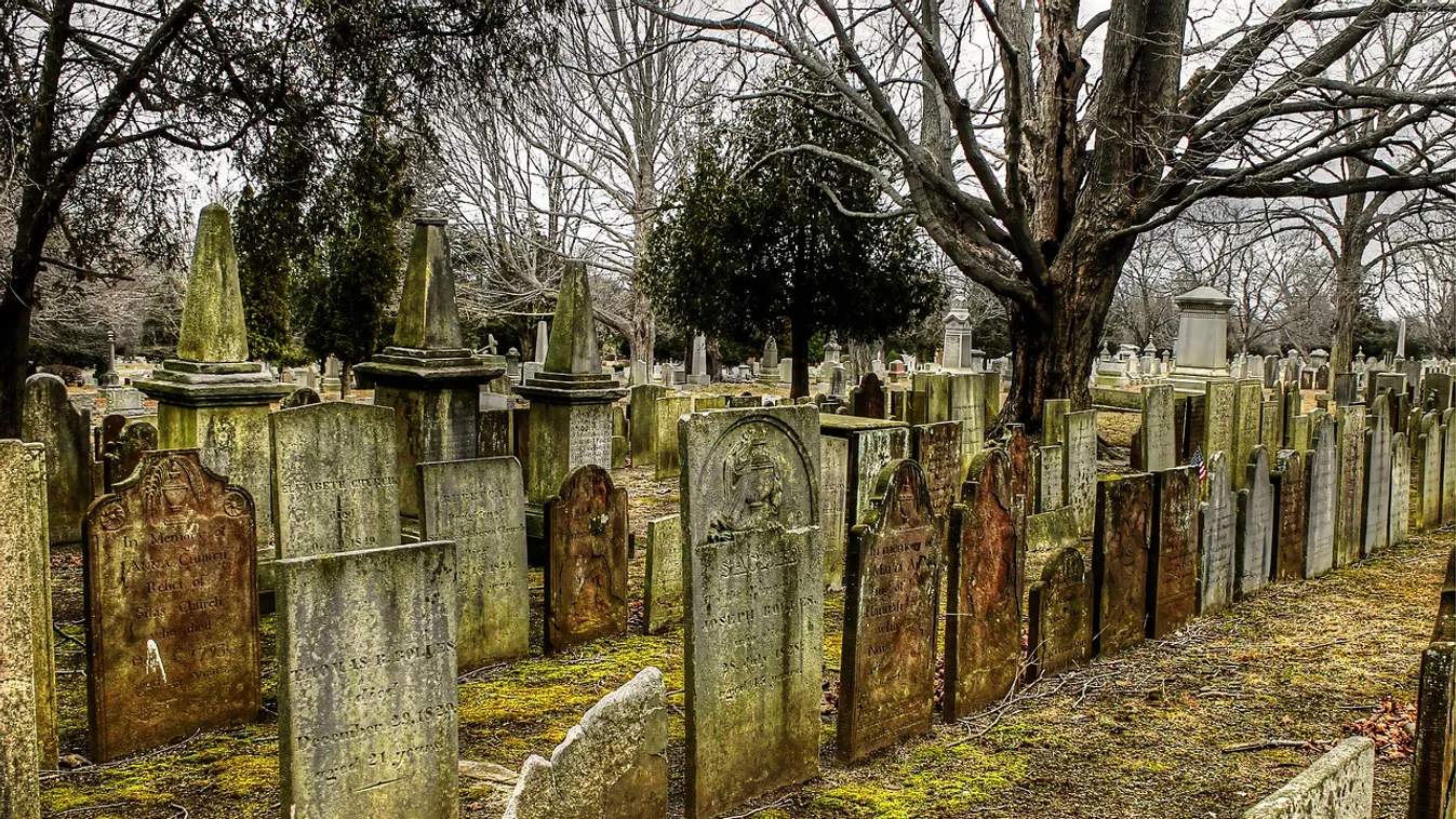 Emberi csontokat és egy koponyát találtak a szemétben a Szent Márton temetőben