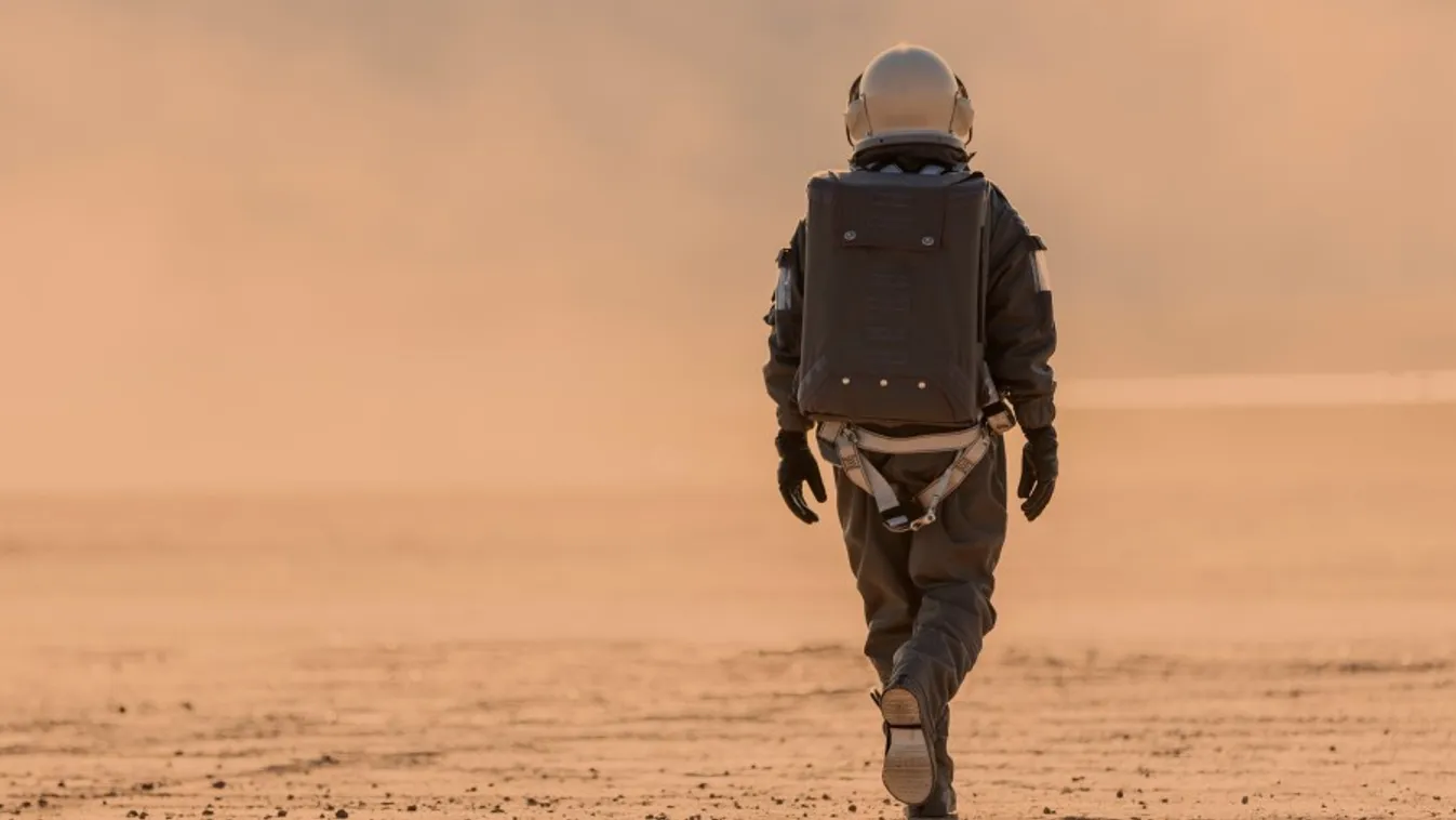 Óriási veszély leselkedik az emberiségre: egymás megevését sem zárják ki a tudósok