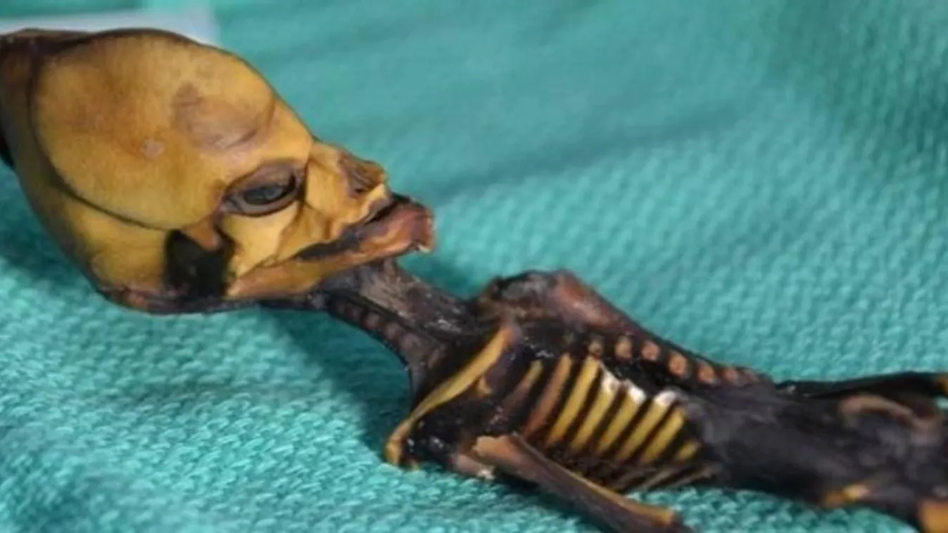 Földönkívülinek hitték a templomban talált bizarr csontvázat, most minden kiderült