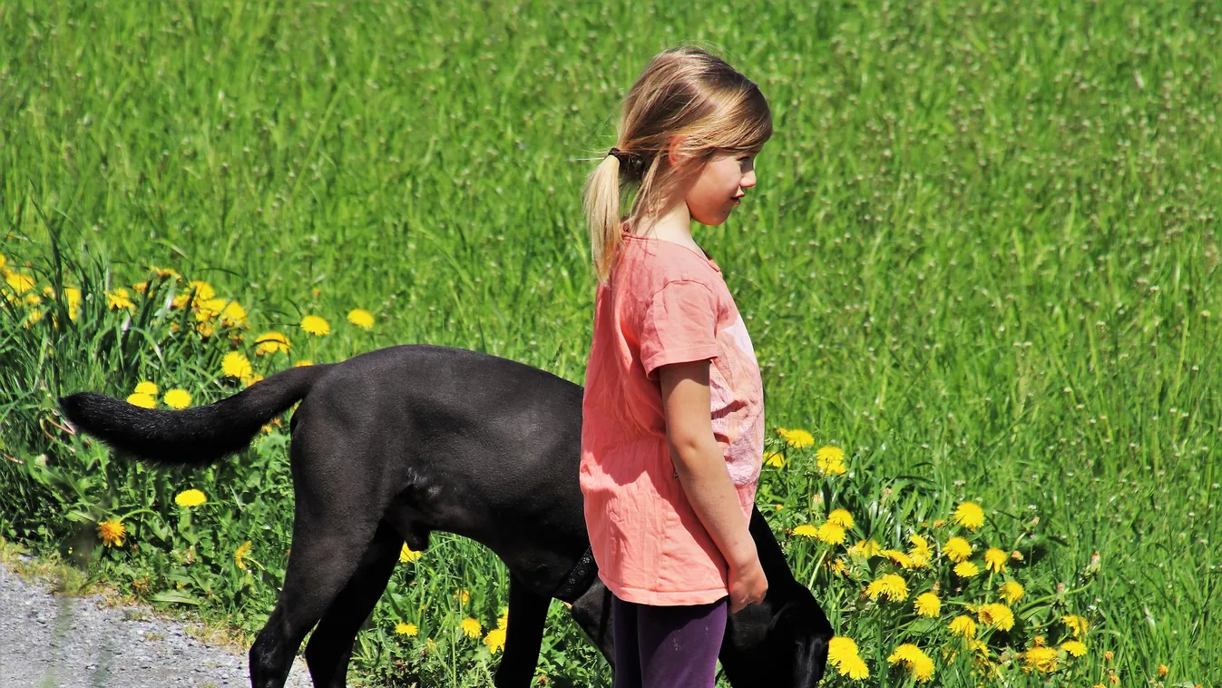 A kislány ölébe ugrott a kutyája – később kiderült, hogy ezzel megmentette az életét