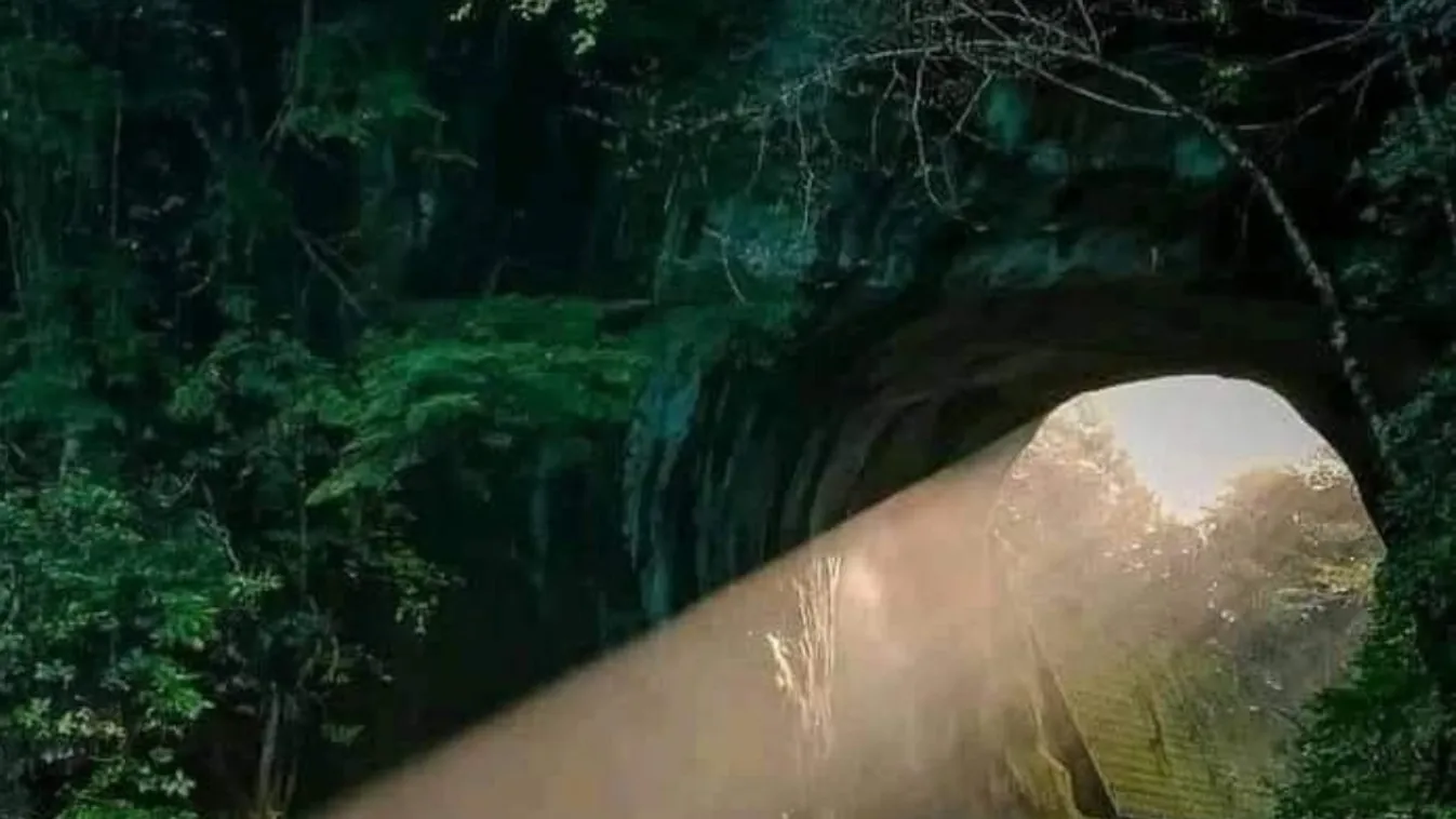 Te is azt látod ezen a természetfotón, amit a többi perverz internetező?