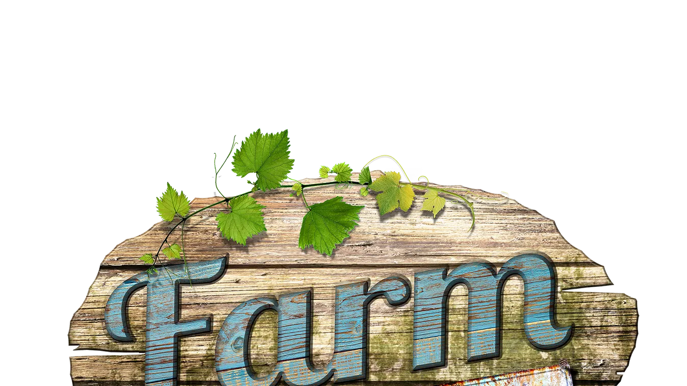 Órákon át küzdöttek, végül ő lett a Farm VIP győztese