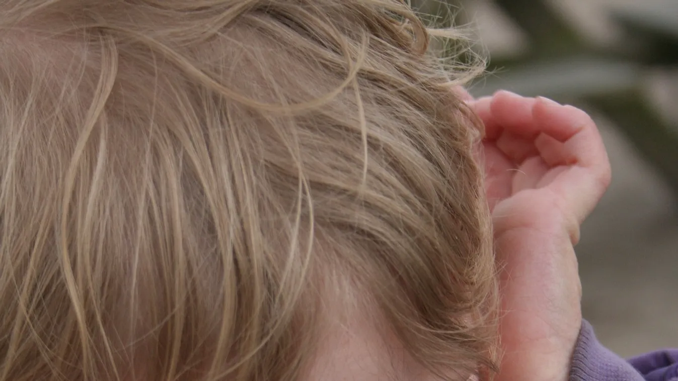 Lerántották a leplet: ebben különbözik az autista gyermekek karácsonya a többiekétől