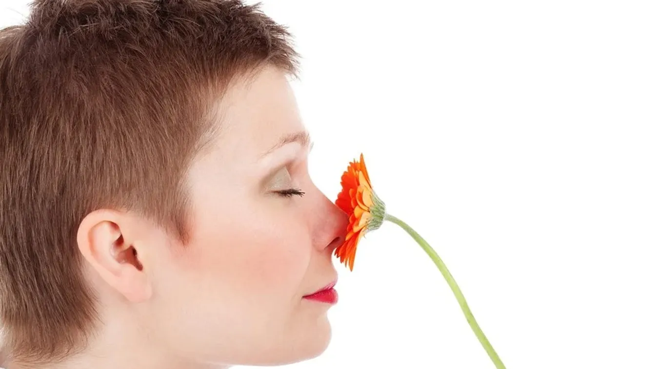 Légtisztítóval a tiszta és friss levegőért (x)