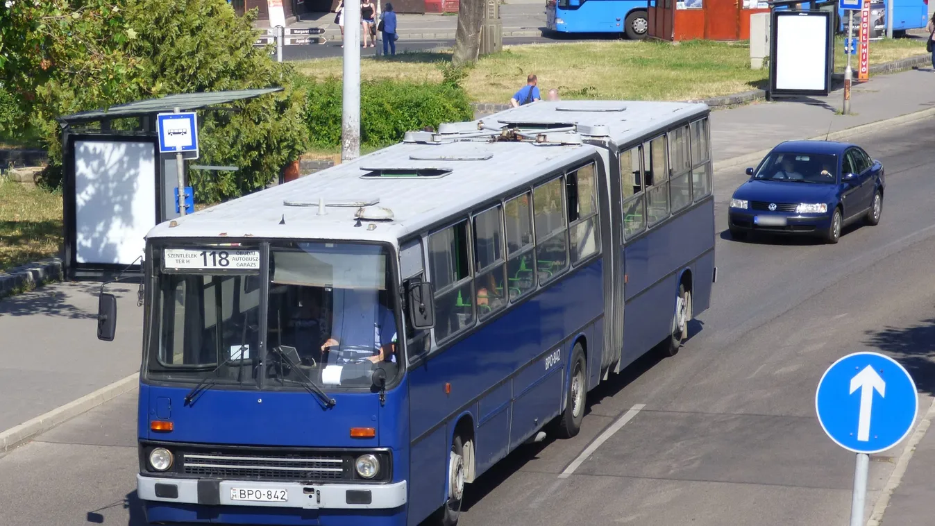 Nem fogod elhinni, milyen állatok tűntek fel az óbudai buszmegállónál