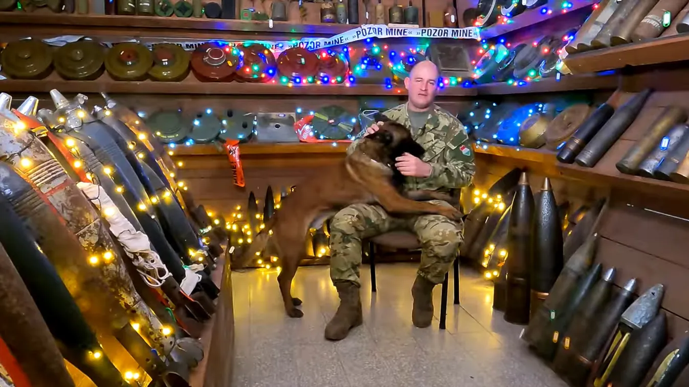 Megható: bántalmazott kutyát mentett meg a honvédség tűzszerésze - Videó