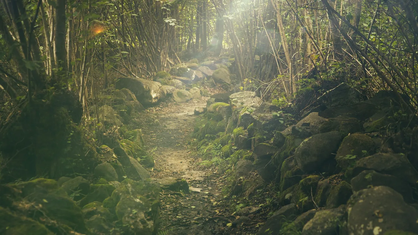 Ilyen trükkel csapott le a nőkre a fák között a magyar szexragadozó