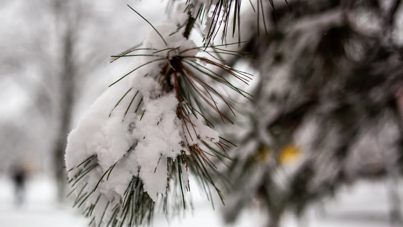 Kiderült, hol és mennyi esélye van a fehér karácsonynak