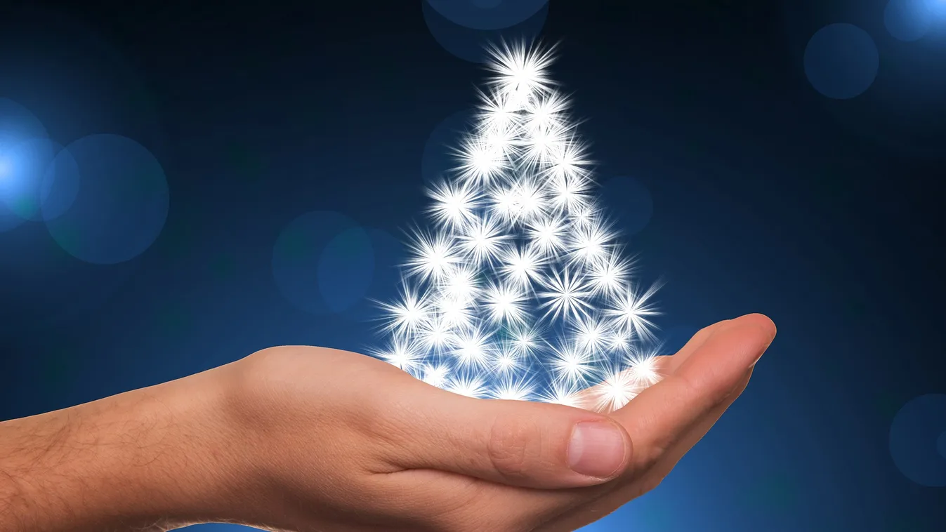 Új értelmet nyert a fehér karácsony: pénzzel és kokainnal díszítette fel a fáját egy férfi