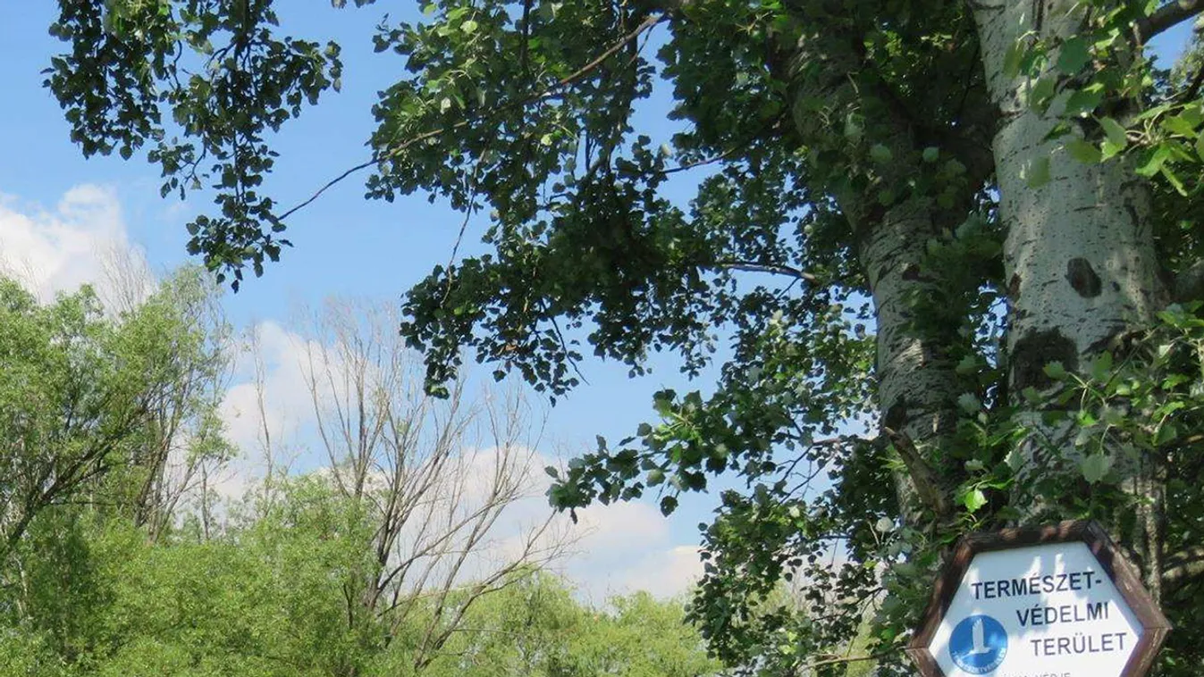 Mi lesz a Mocsárosdűlő sorsa? Itt a válasz!