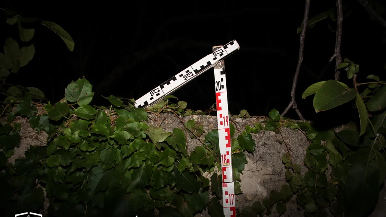 Hihetetlen, milyen ostoba volt ez a pancser betörő