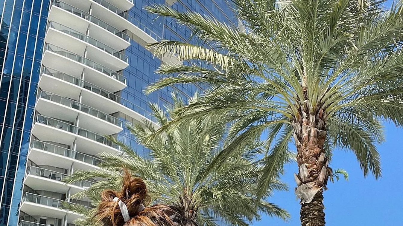 Kibuggyant gigászi, ringó melle a kebelcsoda túl szűk ruhájából