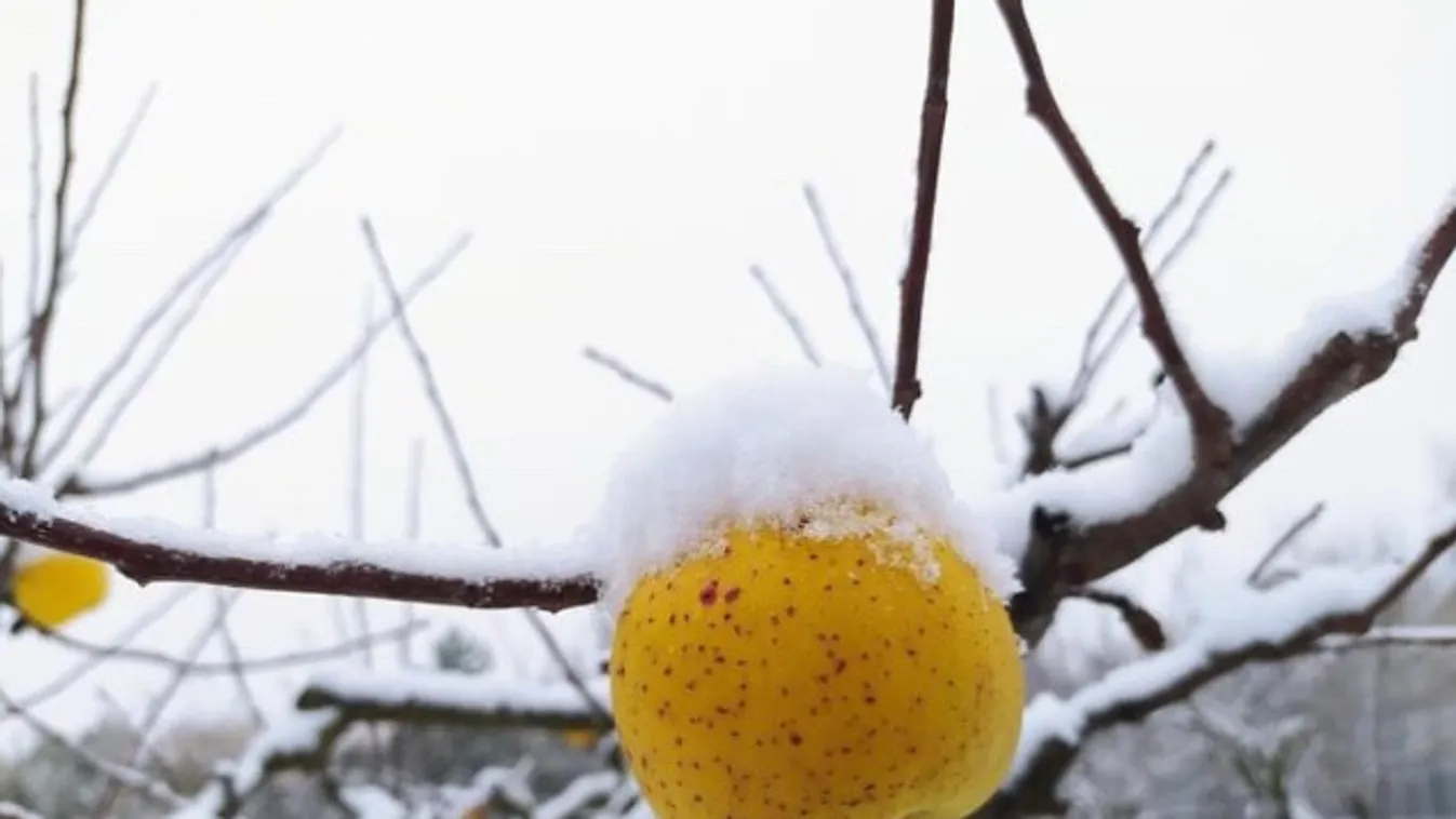 Mesés képeken az országot beborító hólepel