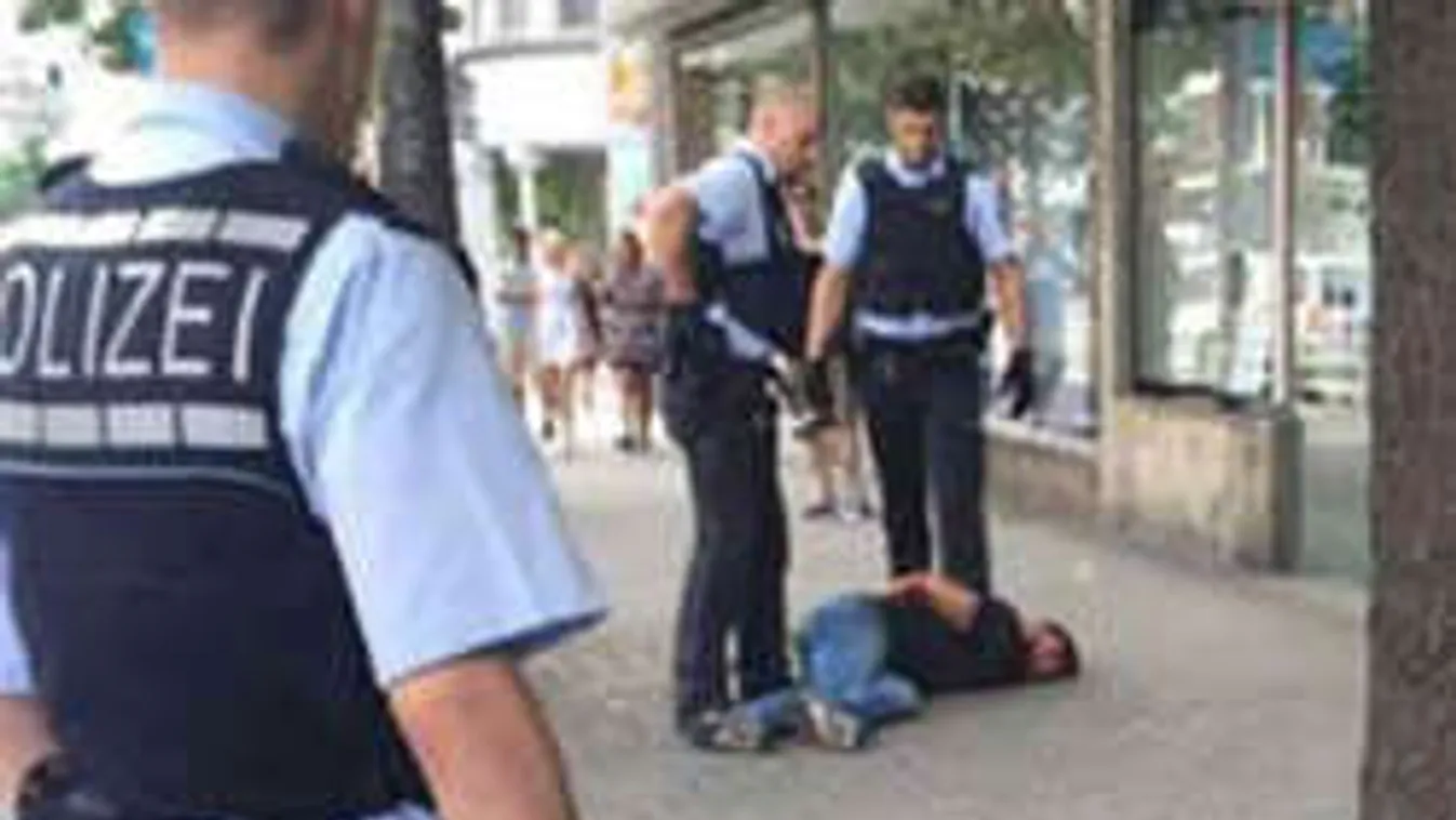 Egy autós fékezte meg a machetével gyilkoló szír migránst - elgázolta!