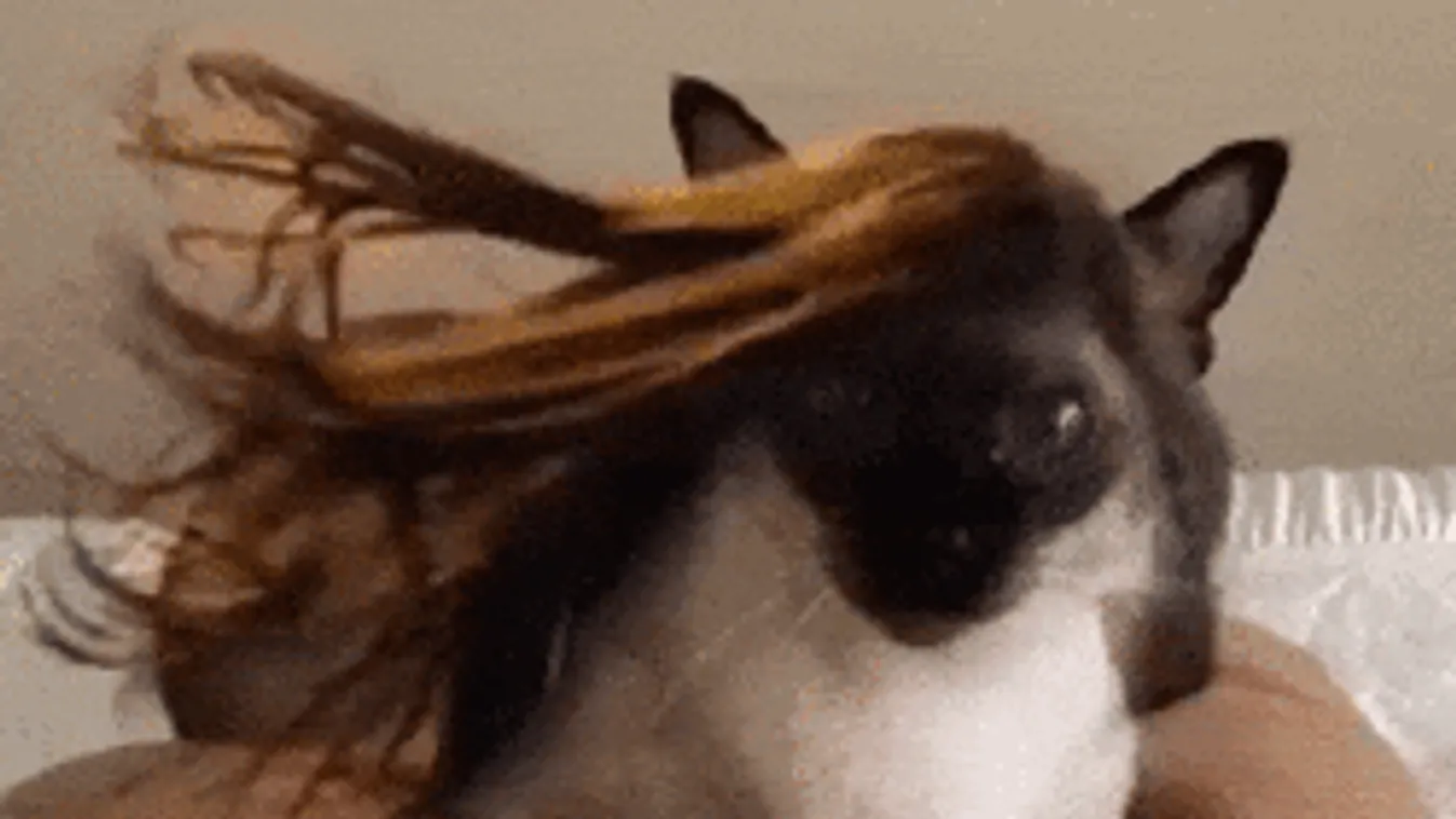 Kettészakad az ország: itt jön durva lehűléssel az eső