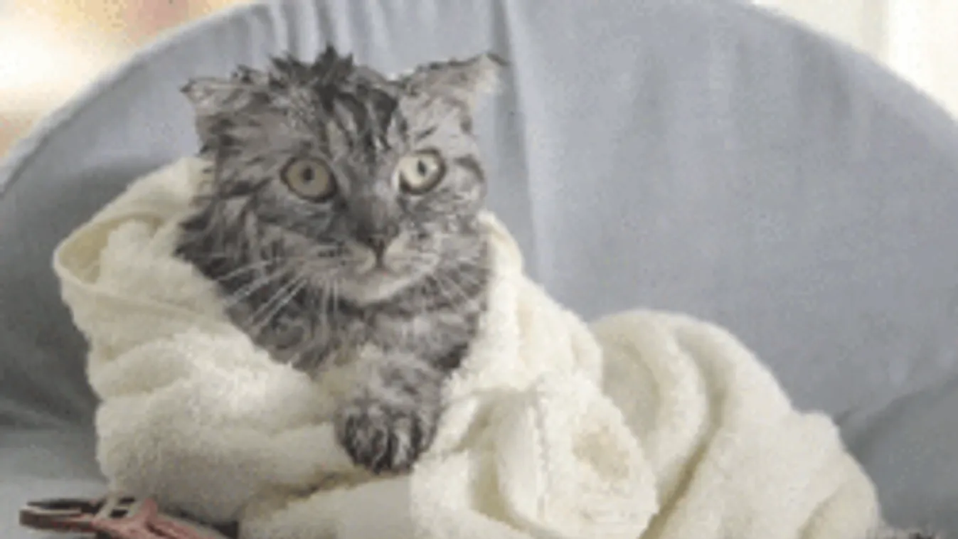 Elemi erővel csap le a vihar, itt kell ma nagyon vigyázni