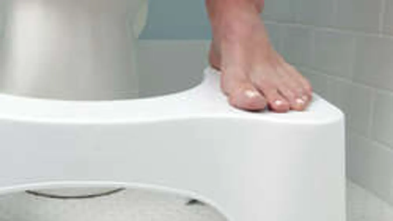 Ez a sámli most az internet királya, megváltoztatja az életed!