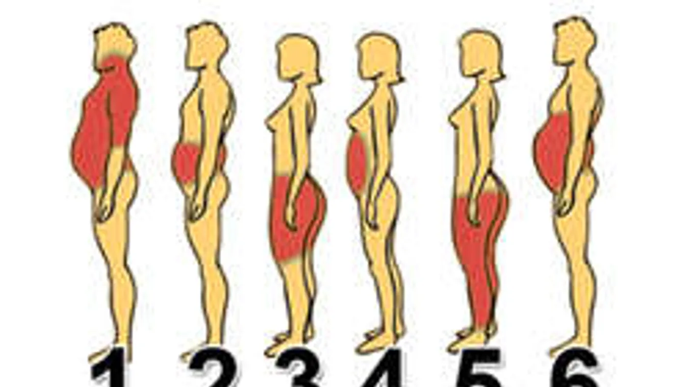 Hová is hízol? Megoldást mutatunk a fogyásra!