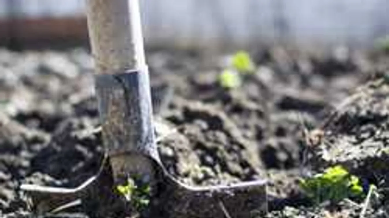 Titok a múltból: elképesztő, mit találtak Bajánál