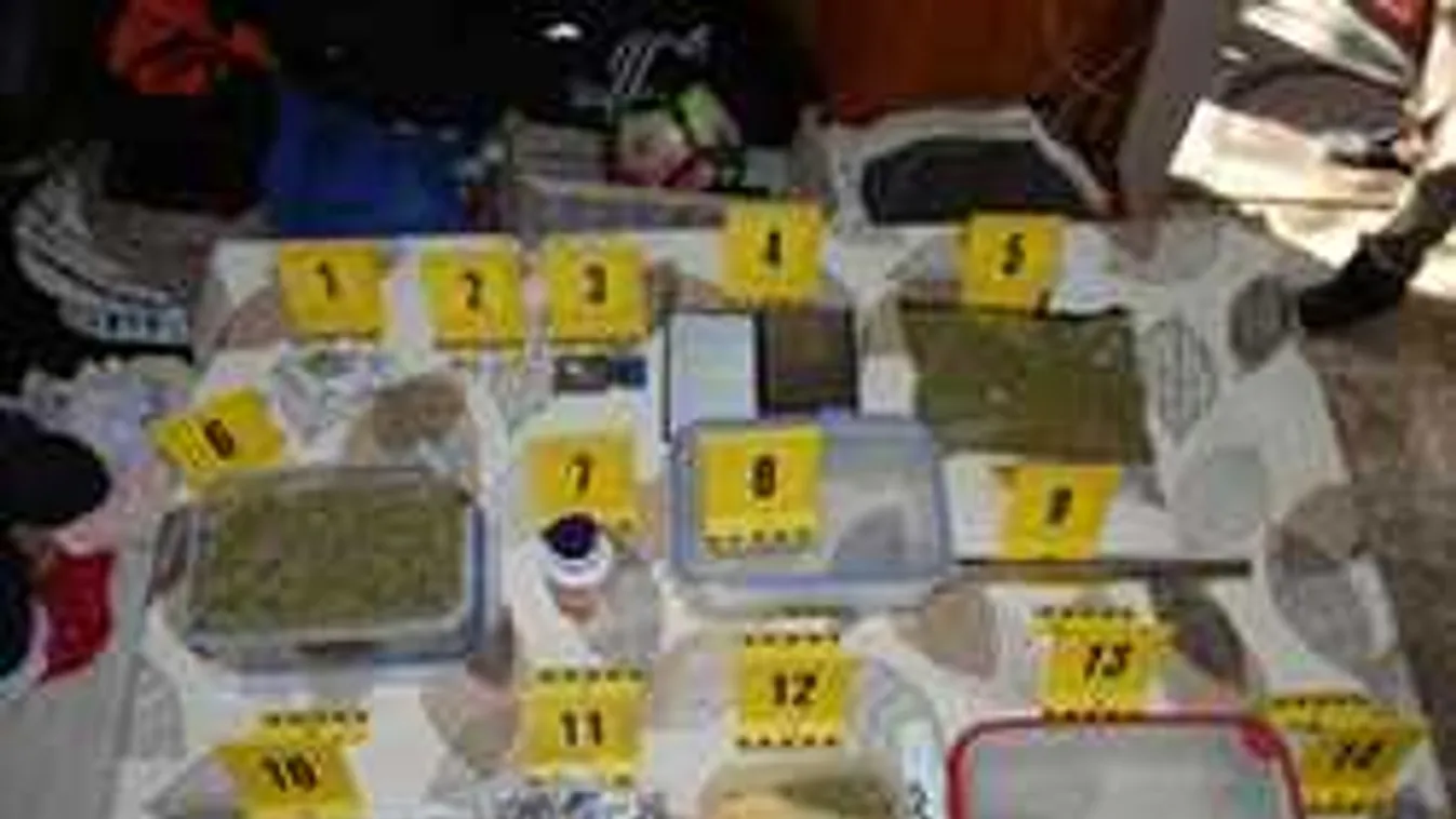 Hét lúzere: Részegen, jogsi nélkül vezetett, és még drog is volt nála