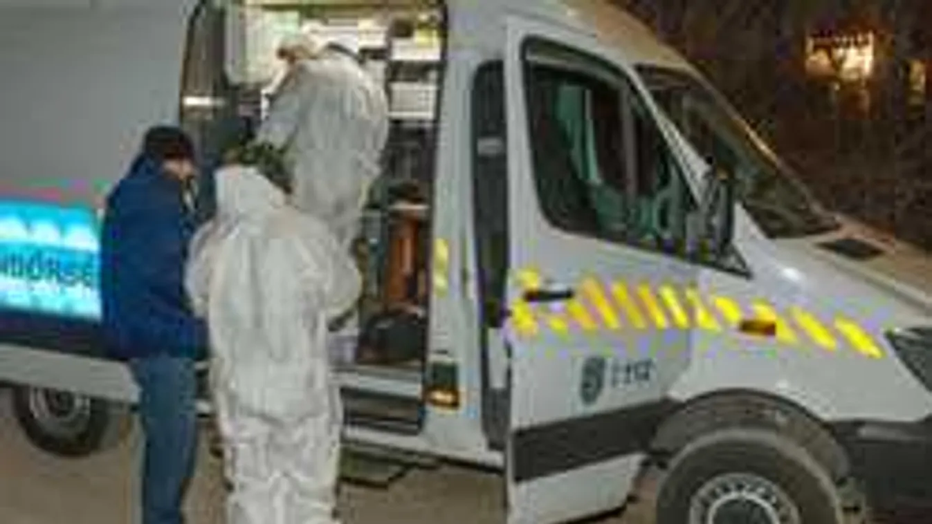 Megölte újszülöttjét, majd egy évig rejtegette otthon az érdi nő