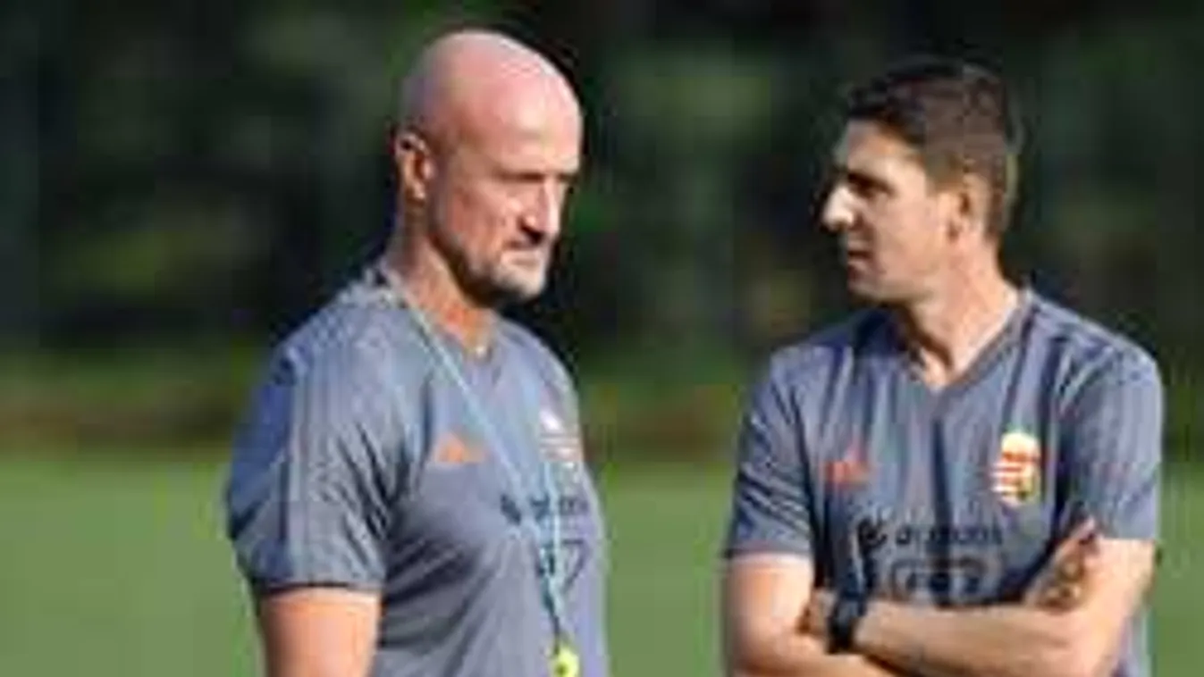 Meglepő hír, Gera Zoltán válogatott kispadot kaphat