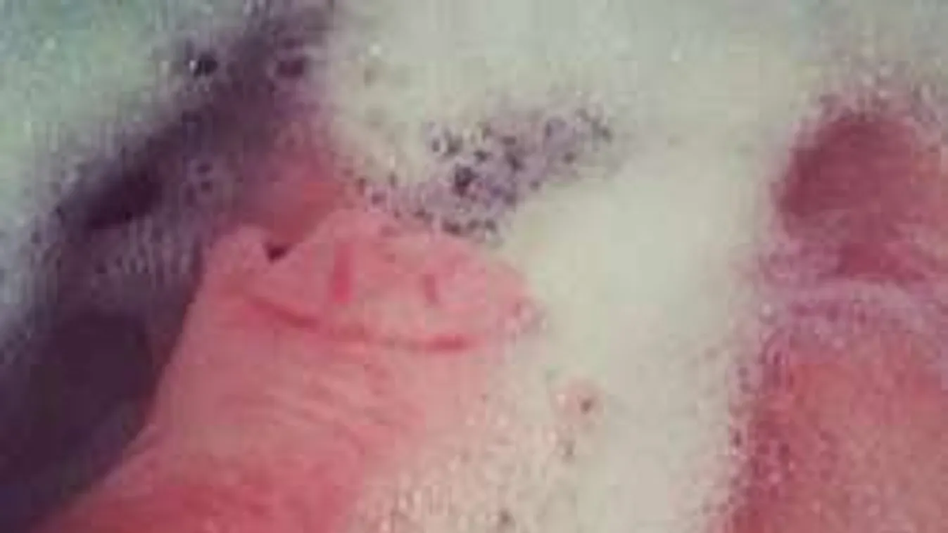 Önpusztító akcióval kínozta magát az eltűnt 11 éves kislány