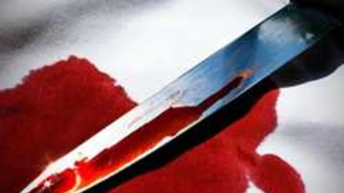 Brutálisat nőtt a Németországban elkövetett késelések száma