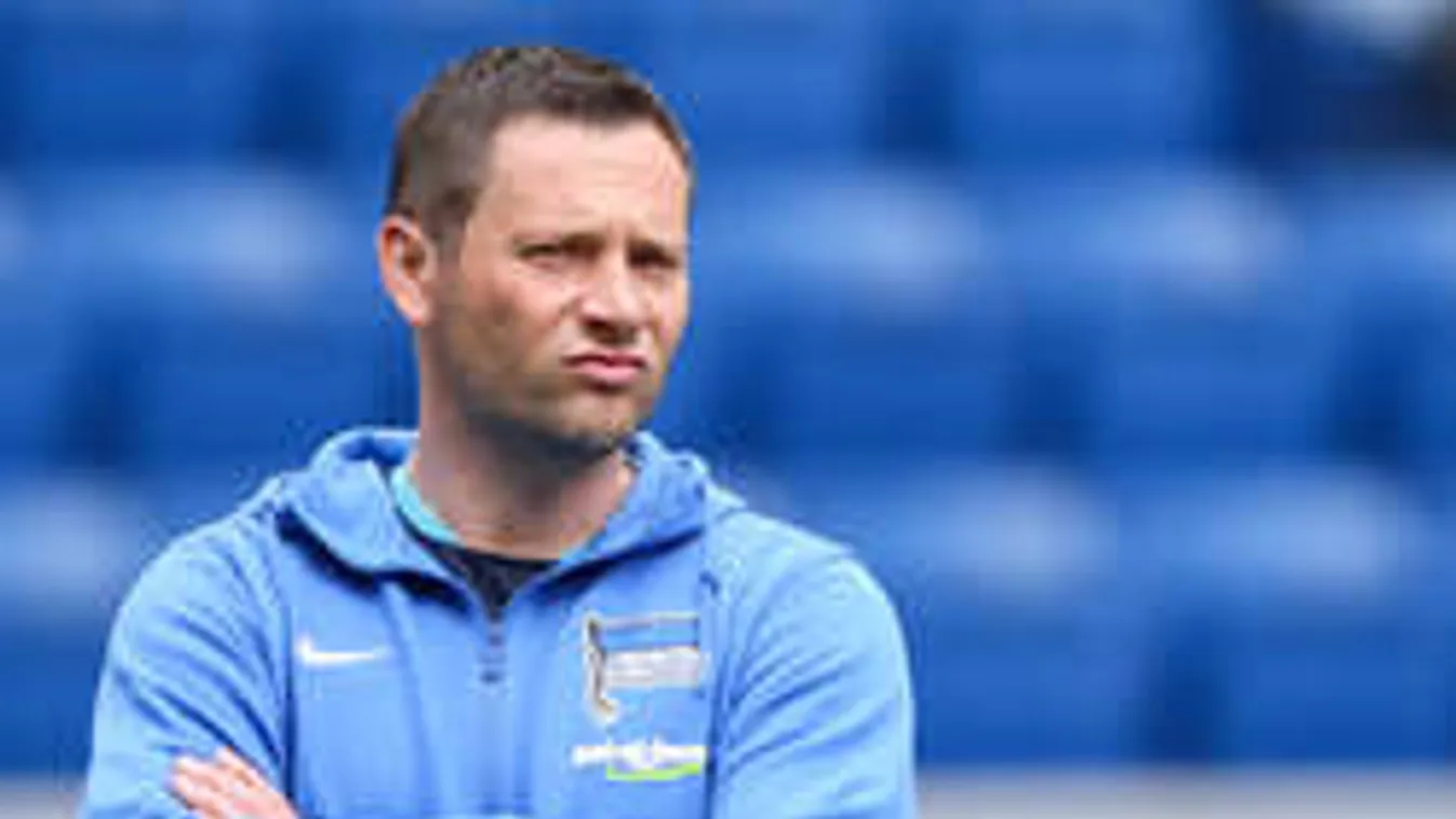 Köpött a maci, Dárdai ezért nem vezette ki a Herthát Európába?