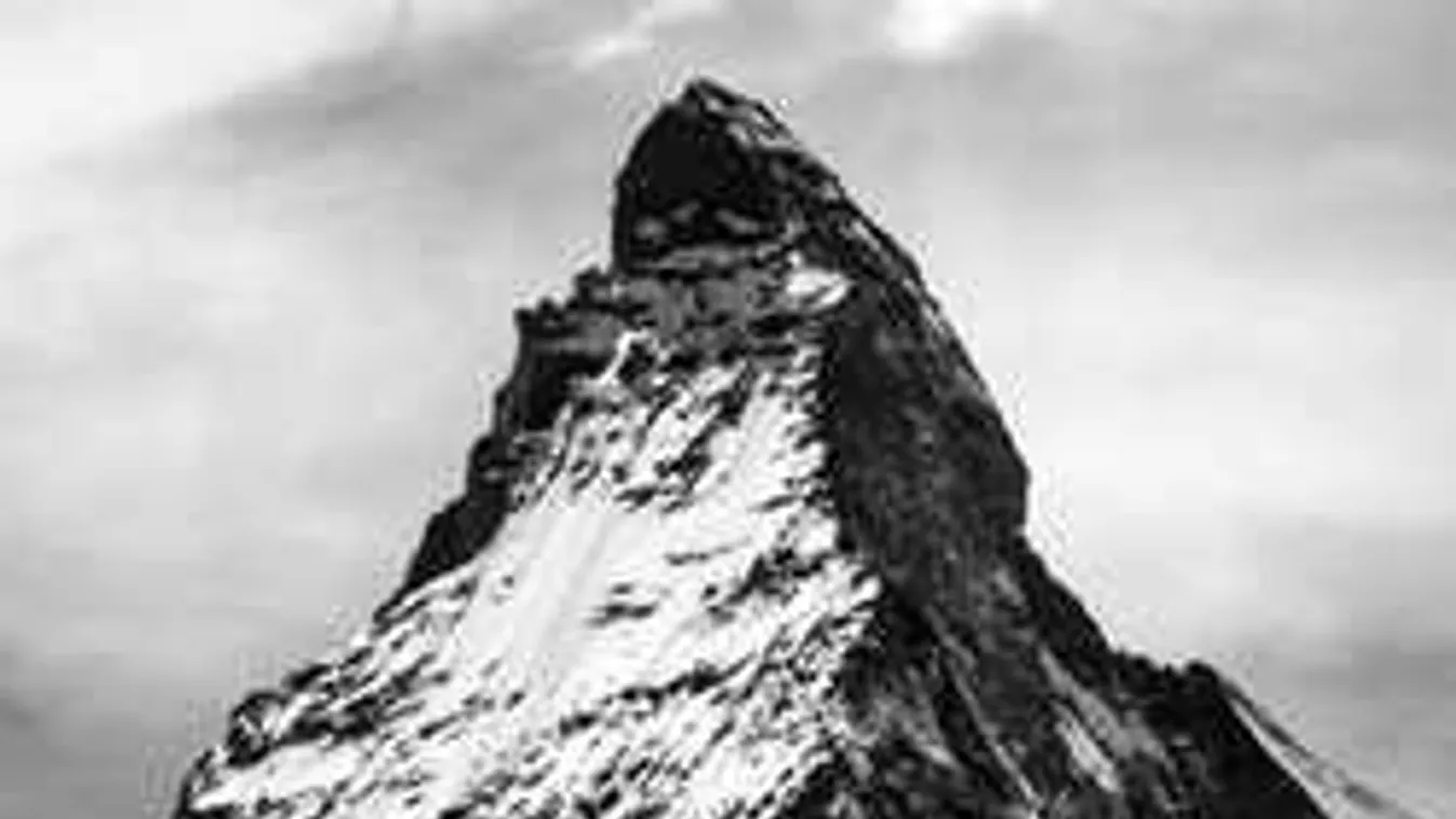 Most jött a hír: családi tragédia érte a sikeres sportolót, öngyilkos lett bánatában