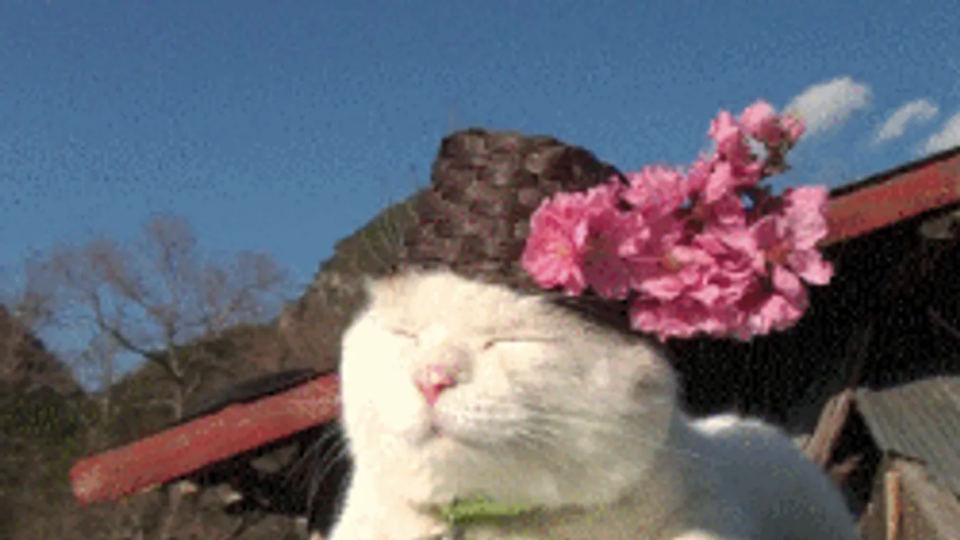 Nem csoda, ha megőrülsz, a fagy után váratlan meleg tör be az országba