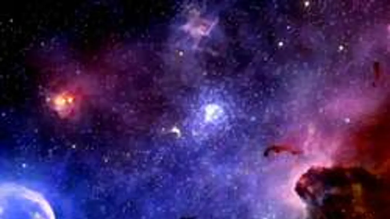 Élet a halál után? Organikus kapszula válthatja valóra az álmokat