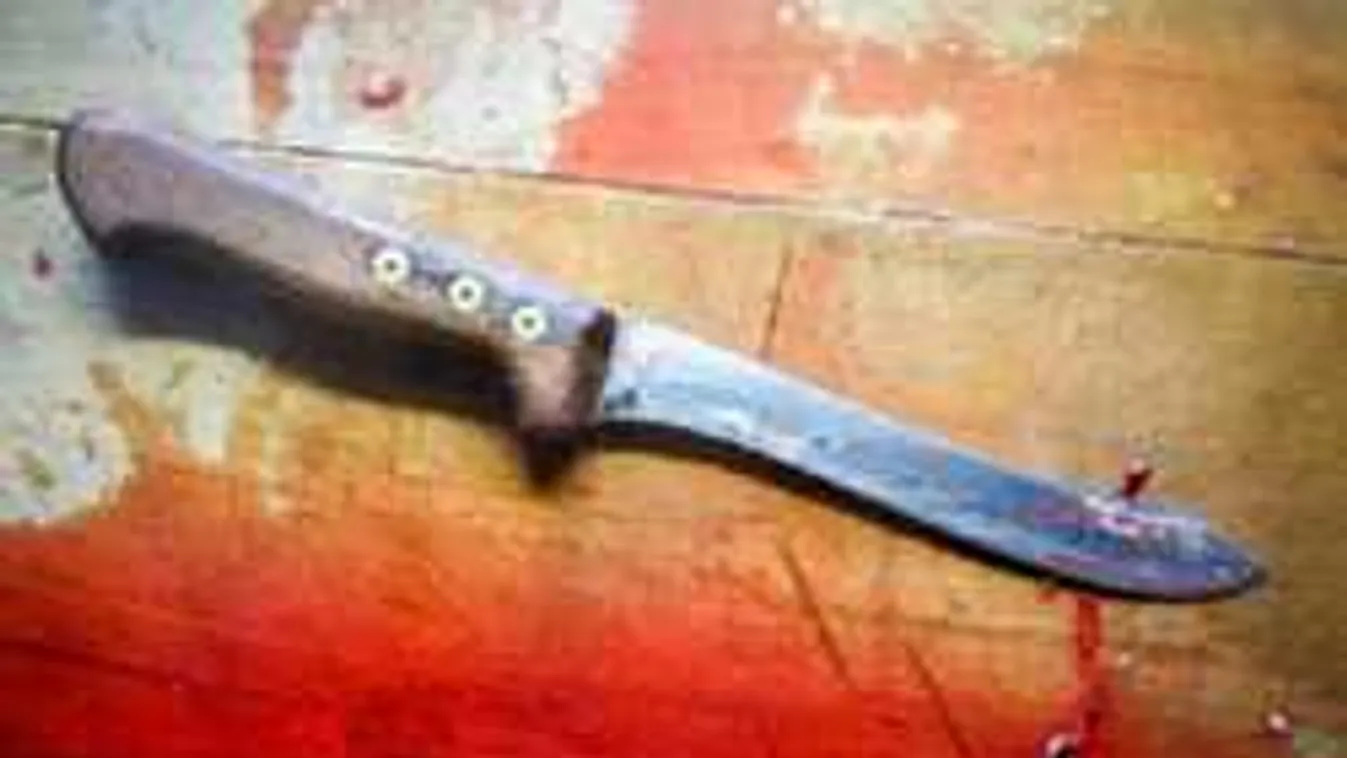 Félelmetes eszközzel mészárolta le áldozatait a piactéren a migráns