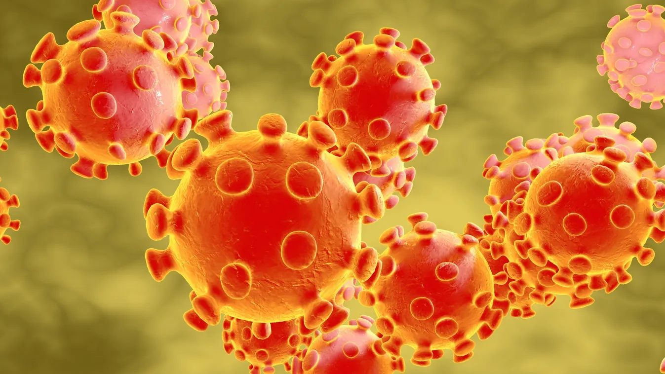 Coronavirus, virus which causes SARS and MERS