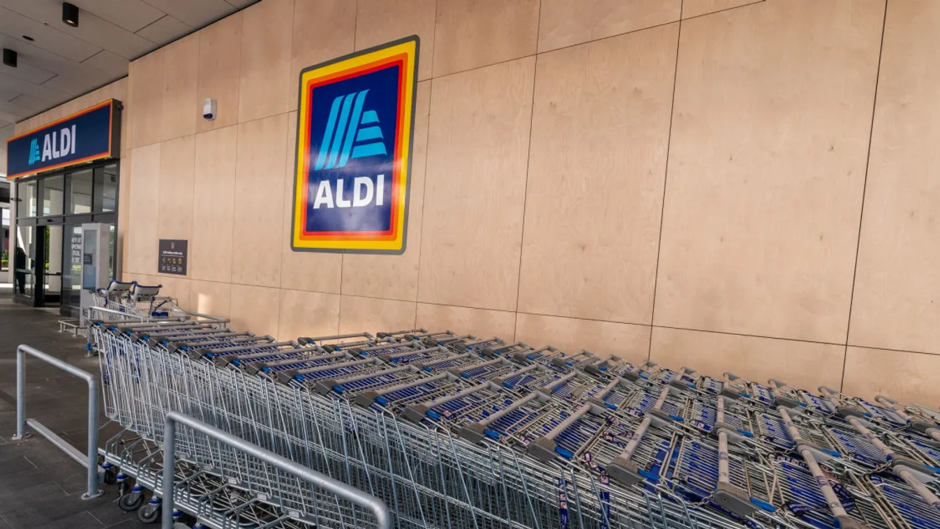 Nem tudták, mi mekeg a budapesti ALDI mellett – sokan leültek a csodálkozástól