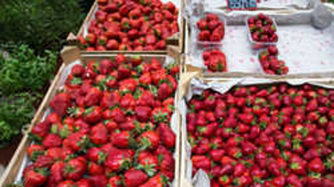 Ennél jobb hírt nem is adhatnánk az idei eperről