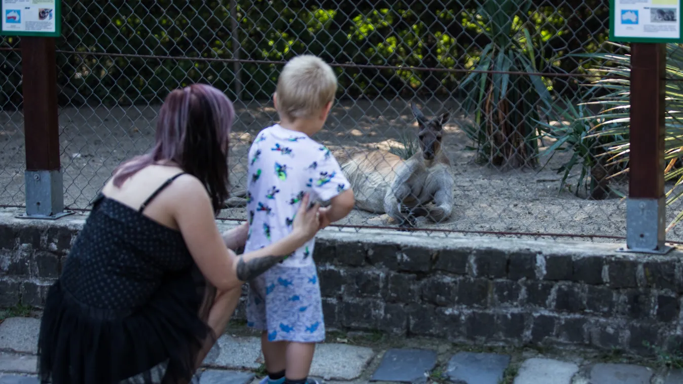 Ezek az újraindítás lépései, ha megvan a 4 millió beoltott