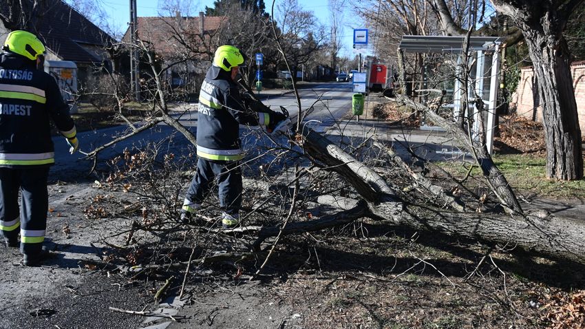 Ketten is megsérültek a mai viharban