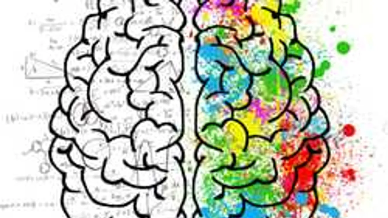 A kutatók is elképedtek: ez történik velünk a halál után