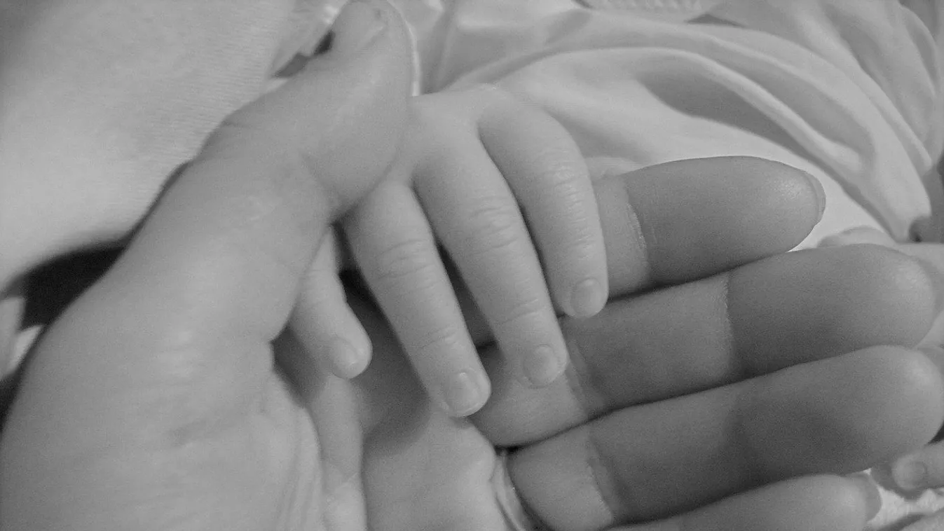 szomszédja zaklatja az édesanyát és gyermekét