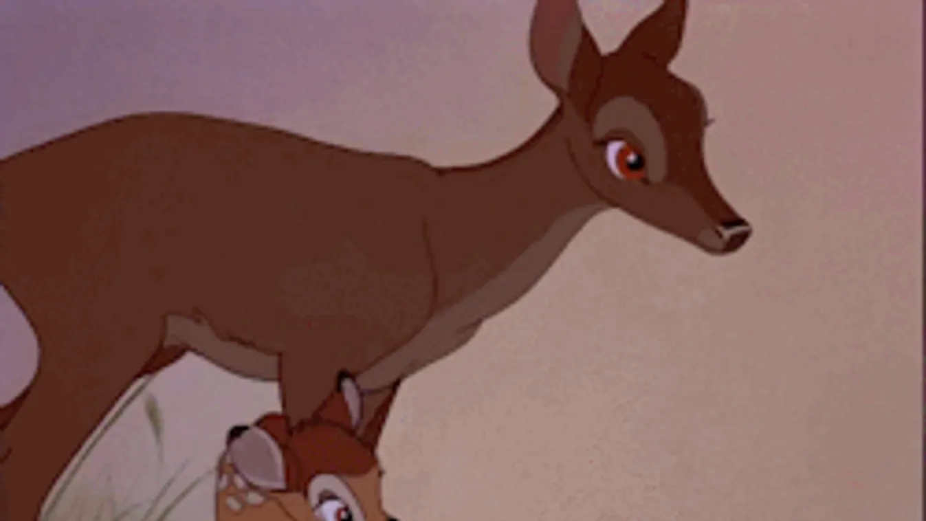 Durva leckét kapott ez a kutya: Őzmama támadta meg