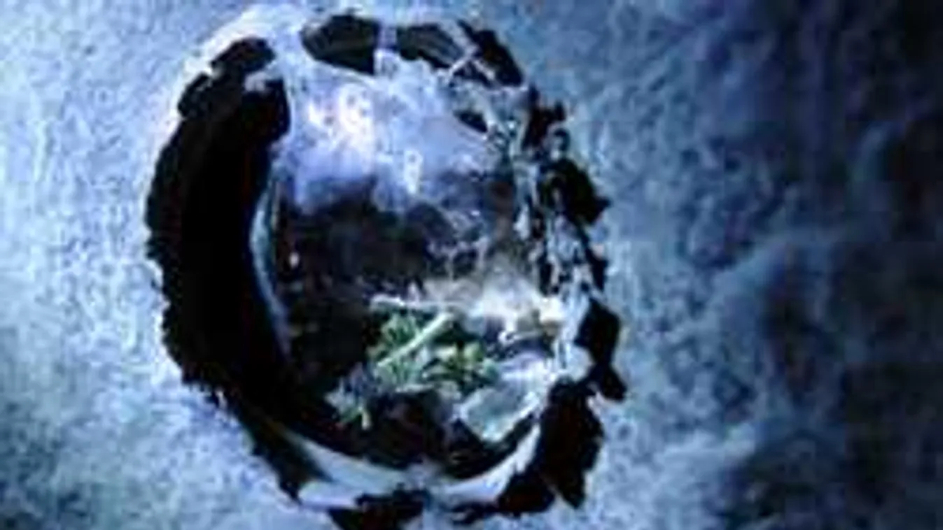 Brutális drogfogás, csak Lénárdnak bűzlött a dolog