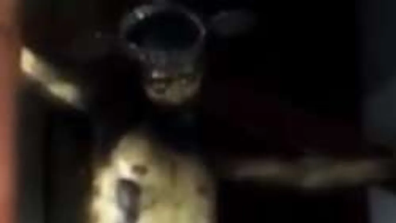 Rémisztő: Életre kelt a Krisztus-szobor mise közben!