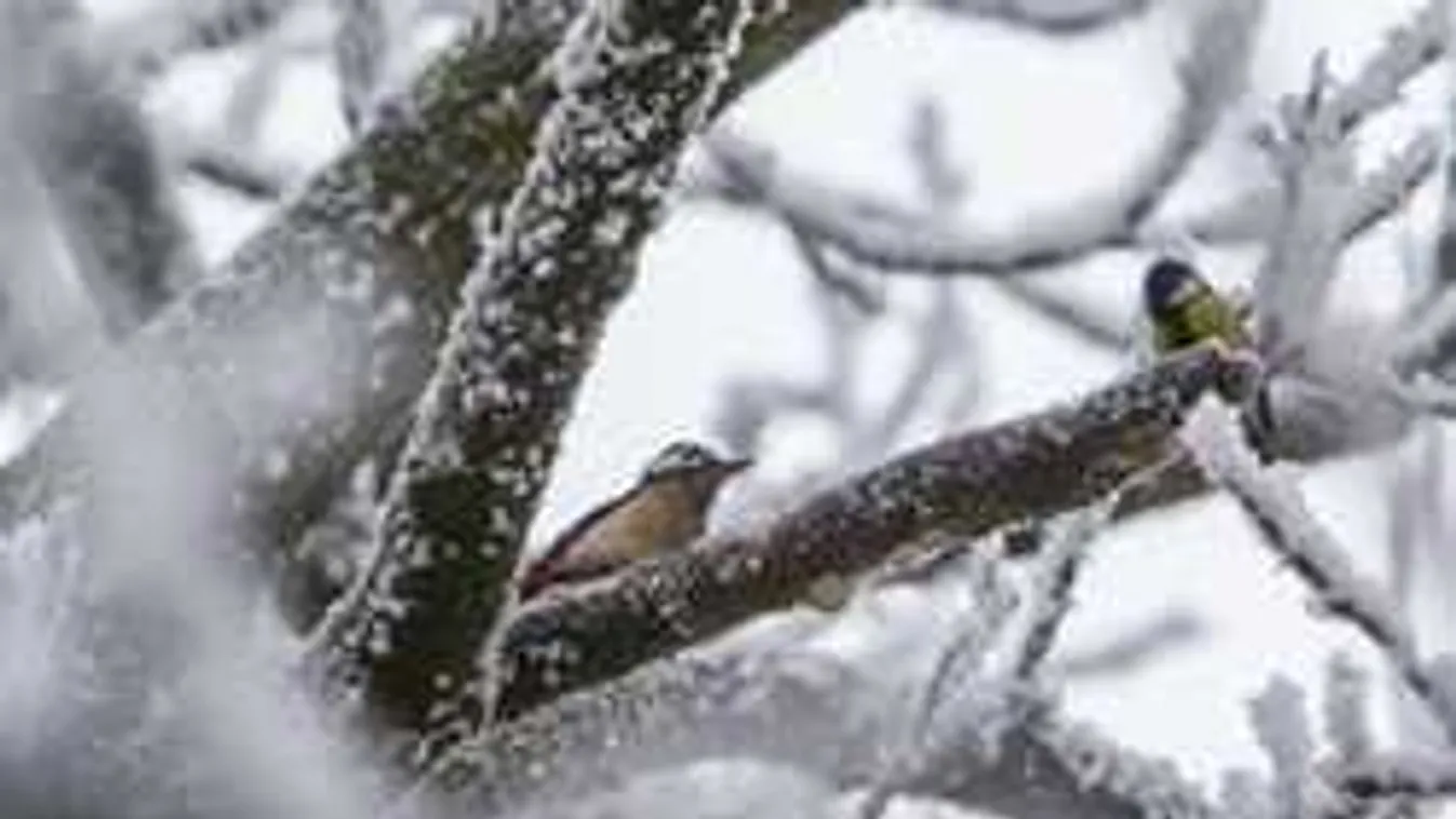 Kegyetlen tréfát űz velünk az idő, riasztást adtak ki a meteorológusok!